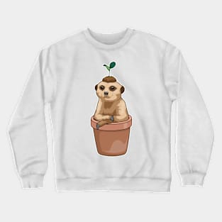 Meerkat Flower pot Plant Crewneck Sweatshirt